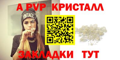 ECSTASY Новозыбков