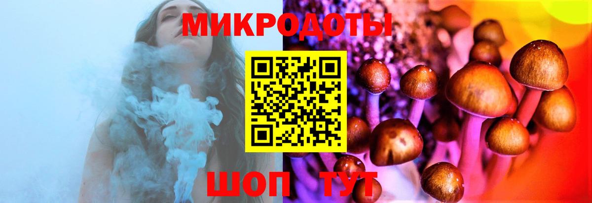 где купить наркоту  Псилоцибиновые грибы Psilocybine cubensis  Вход с VPN  Фрязино 